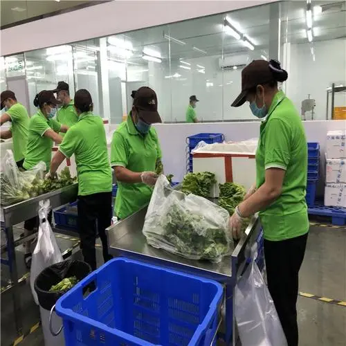 機關單位找食堂配送食材需要注意哪些事項？