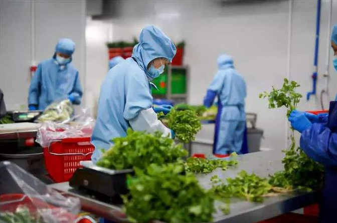 深圳食堂承包的發展是怎樣？